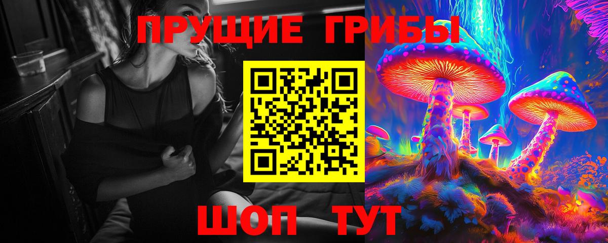 Галлюциногенные грибы Psilocybine cubensis Котовск