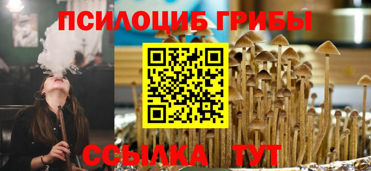 Псилоцибиновые грибы Magic Shrooms  Вход с VPN  продажа наркотиков  Котовск 